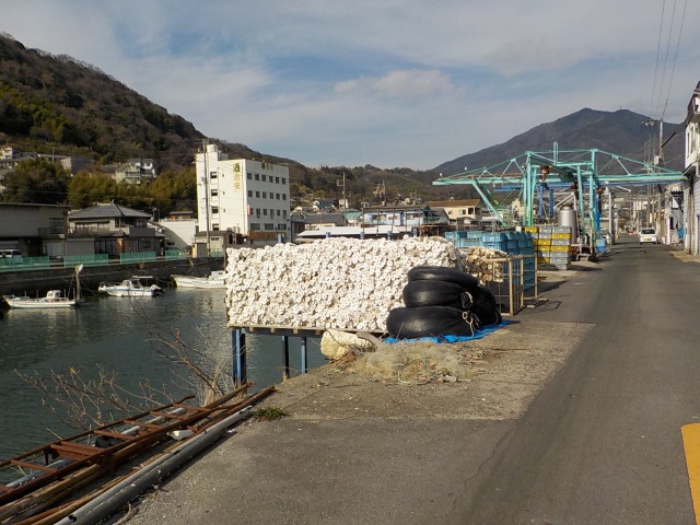 f:id:gotoblueseabicycle:20220130082659j:plain