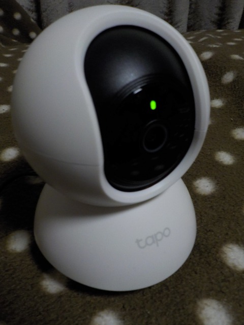 f:id:gotoblueseabicycle:20220201050336j:plain