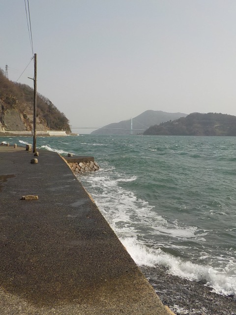 f:id:gotoblueseabicycle:20220306074646j:plain