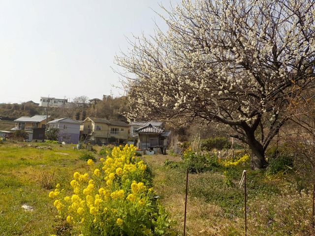 f:id:gotoblueseabicycle:20220306074914j:plain
