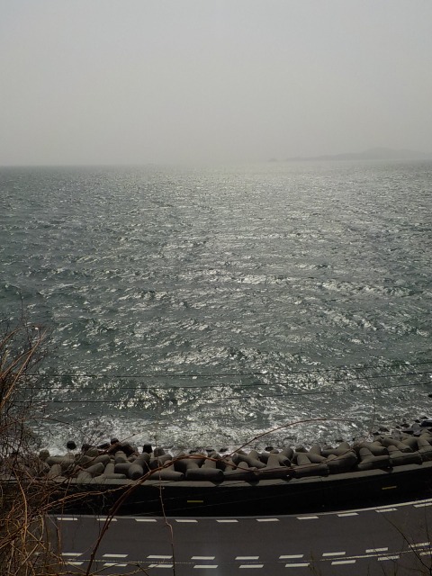 f:id:gotoblueseabicycle:20220306075025j:plain
