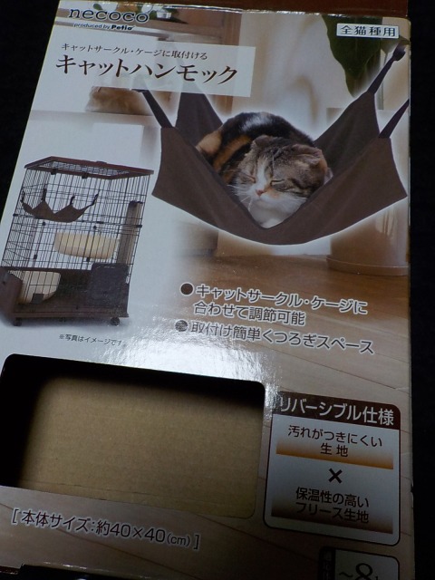 f:id:gotoblueseabicycle:20220412050336j:plain
