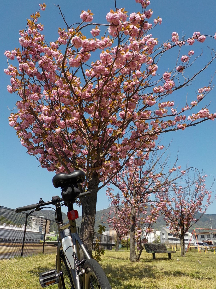 f:id:gotoblueseabicycle:20220417094657j:plain