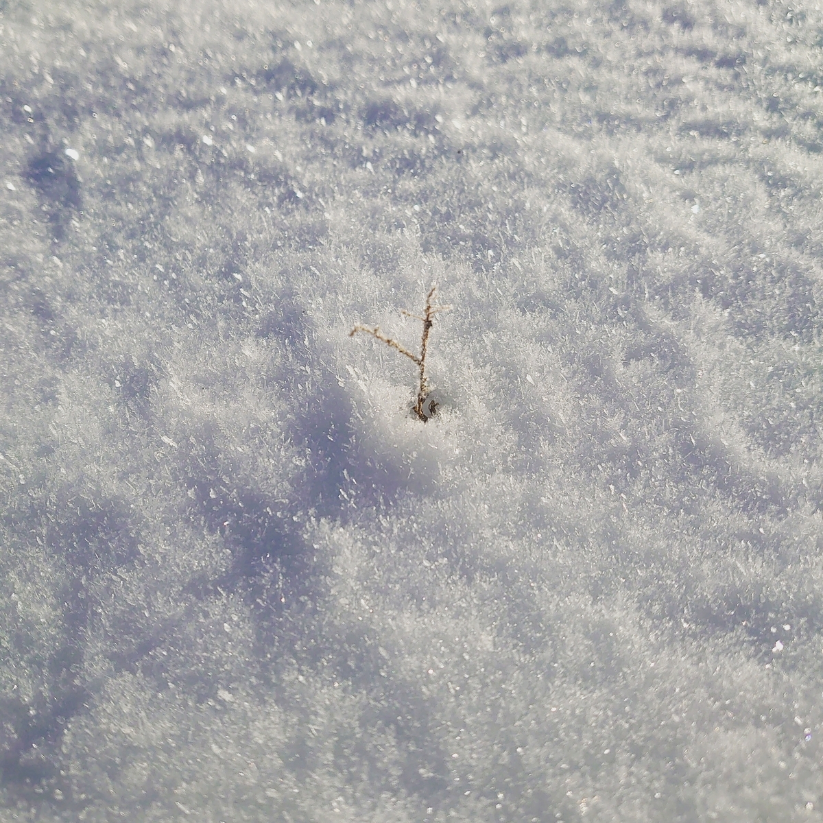 f:id:gotoesora:20220115165657j:plain