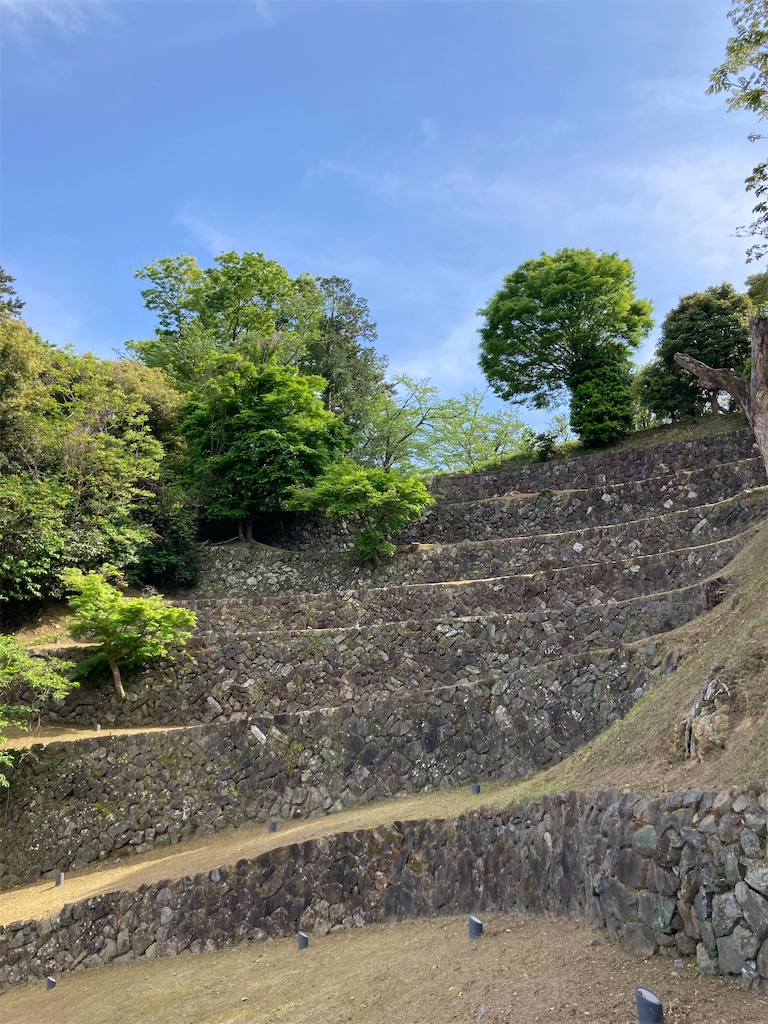 f:id:gotohitachidai8:20250429194754j:image