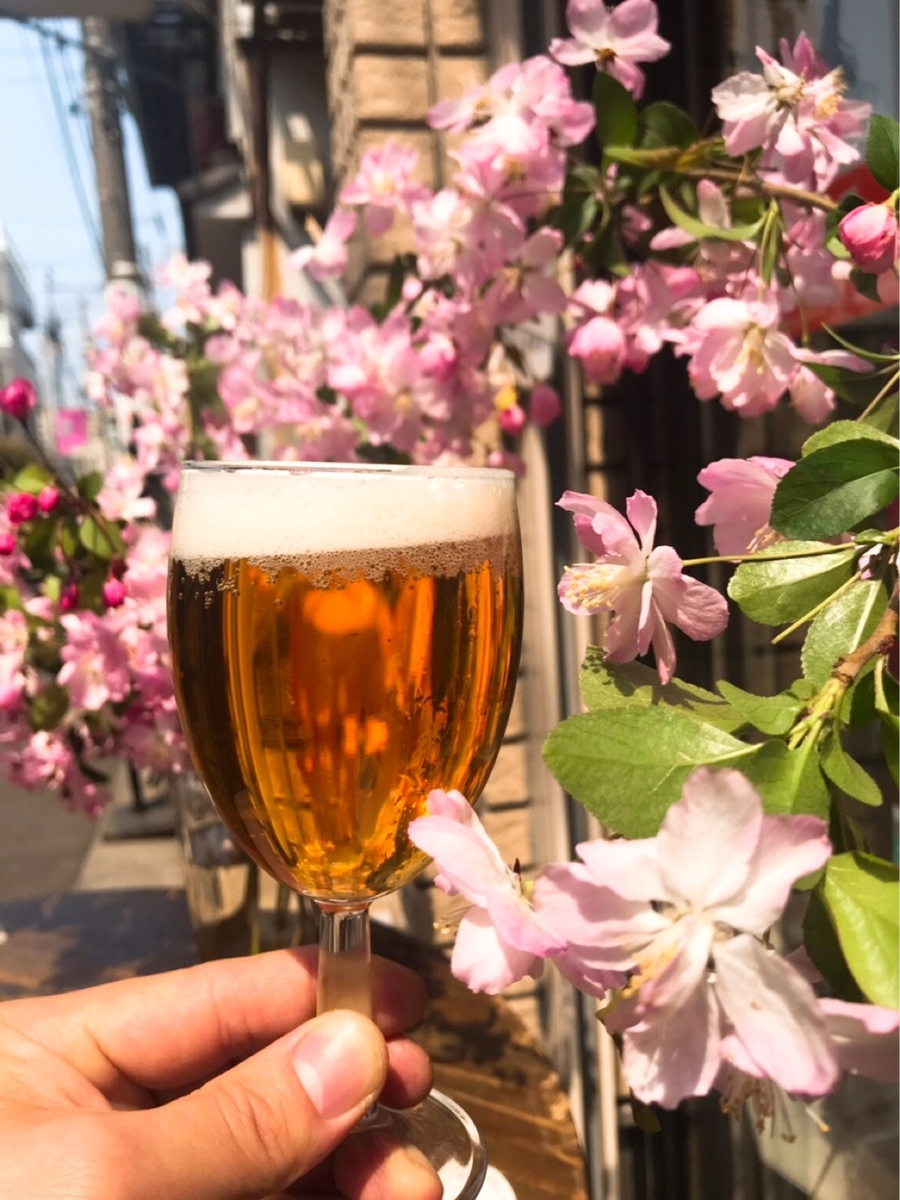 f:id:gotojozo-blog:20190408093739j:plain:w450