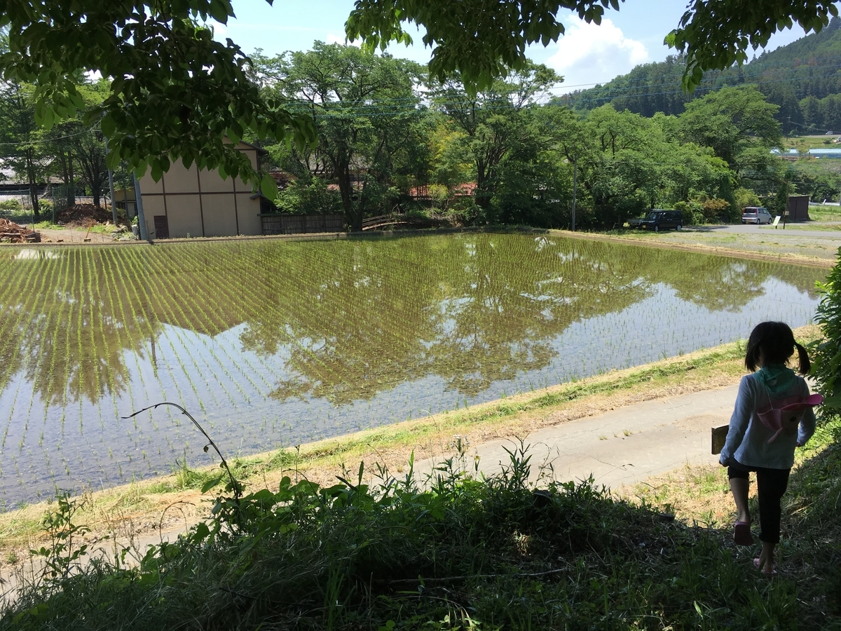 f:id:gotojozo-blog:20190622011755j:plain:w450 f:id:gotojozo-blog:20190622011755j:plain:w450