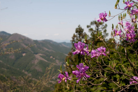 f:id:gotojun:20120428120158j:image