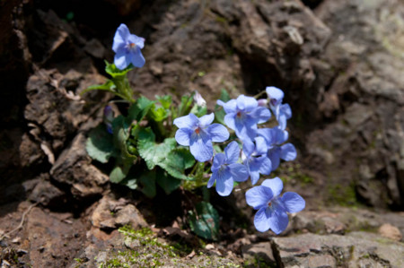 f:id:gotojun:20120428123110j:image
