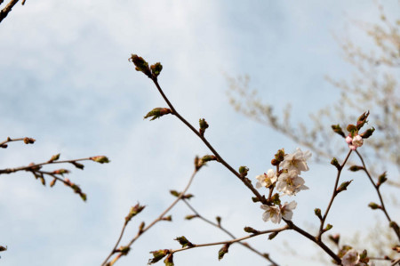 f:id:gotojun:20120526060032j:image