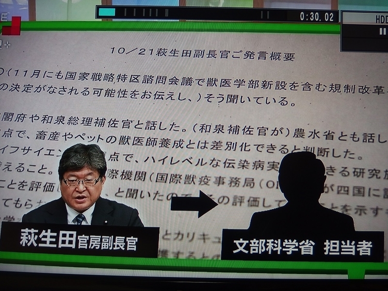 イメージ 12
