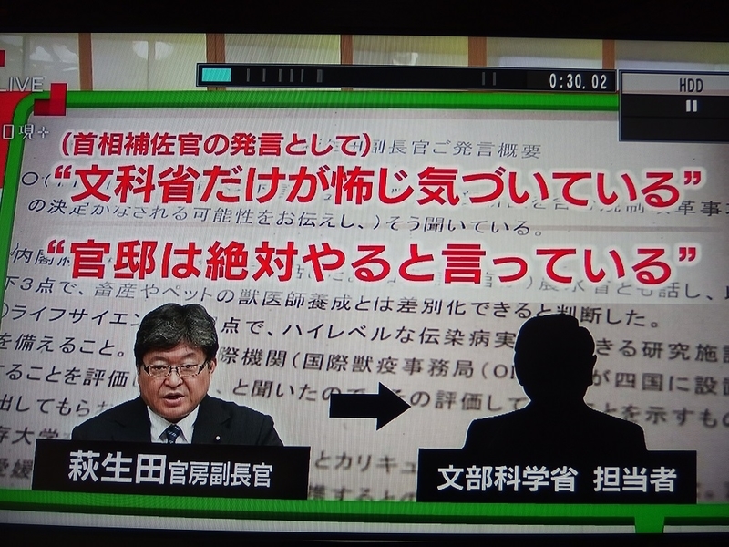 イメージ 13