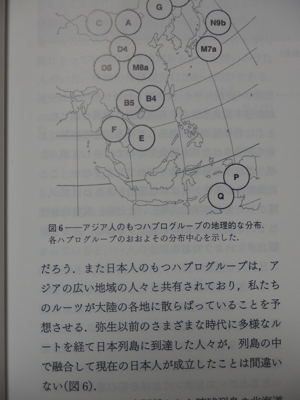 イメージ 5