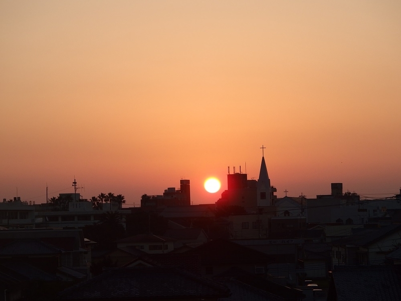 イメージ 7