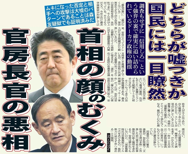 イメージ 5