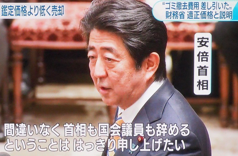 イメージ 13