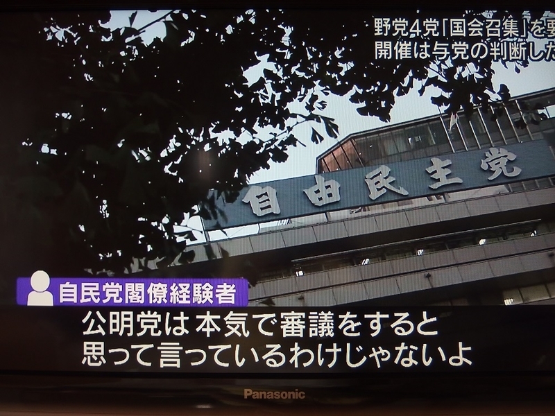 イメージ 7