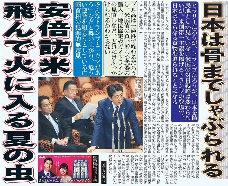 イメージ 14