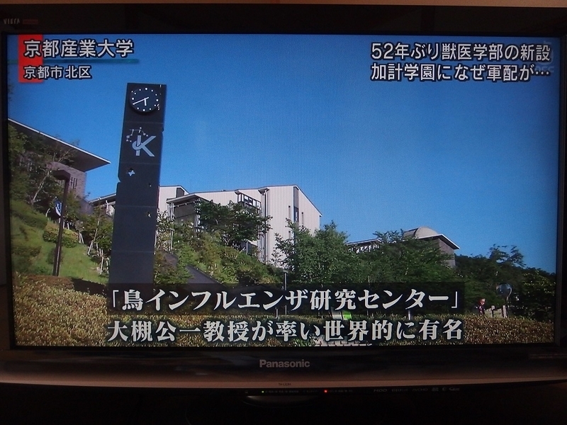イメージ 5