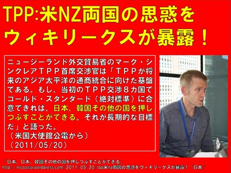 イメージ 6