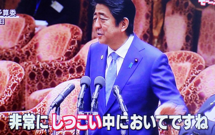 イメージ 16