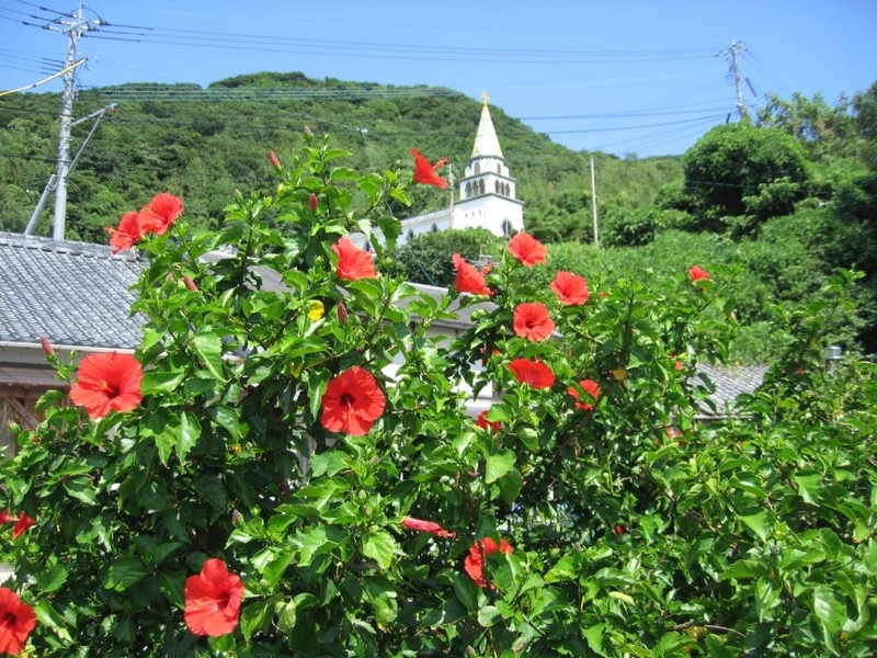 イメージ 8
