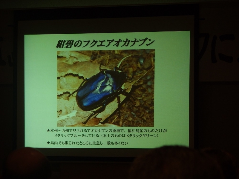 イメージ 19