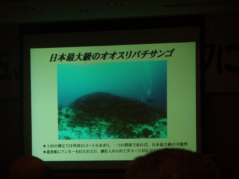 イメージ 20