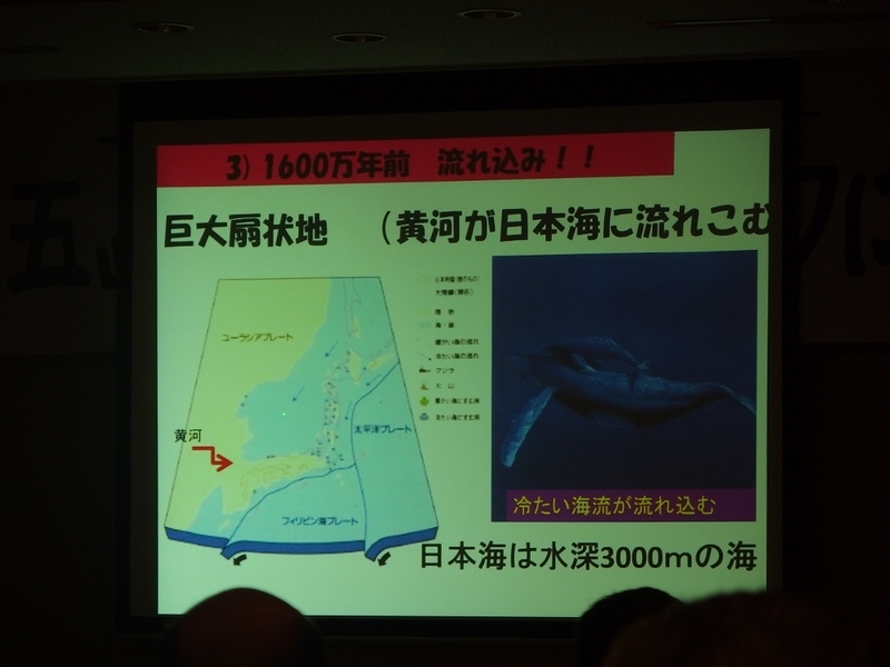 イメージ 10