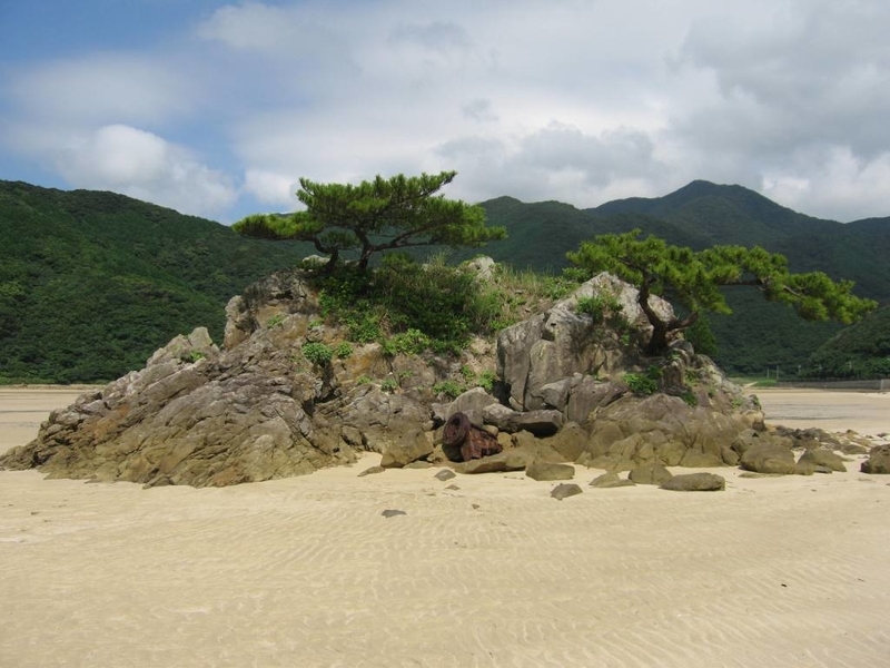 イメージ 11