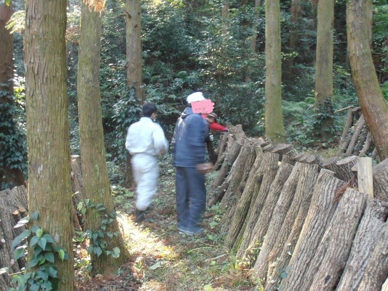 イメージ 5