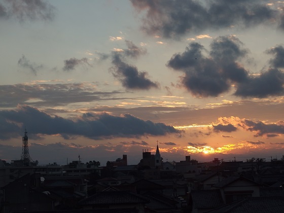 イメージ 5