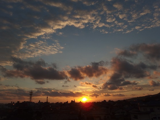 イメージ 9