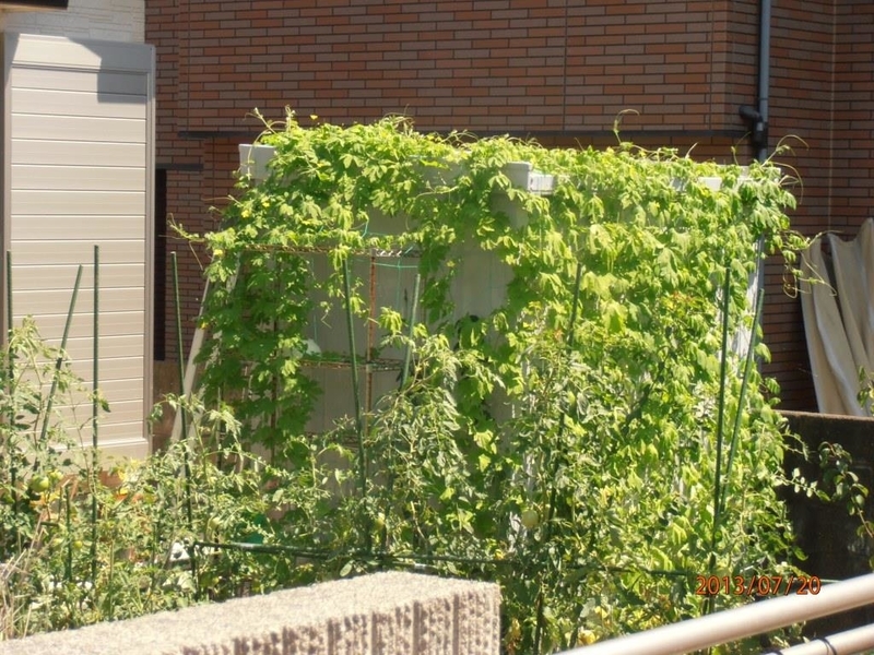 イメージ 4