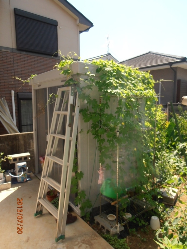 イメージ 5