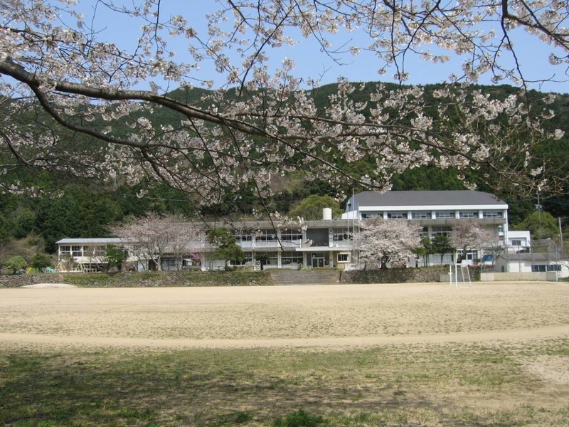 イメージ 6