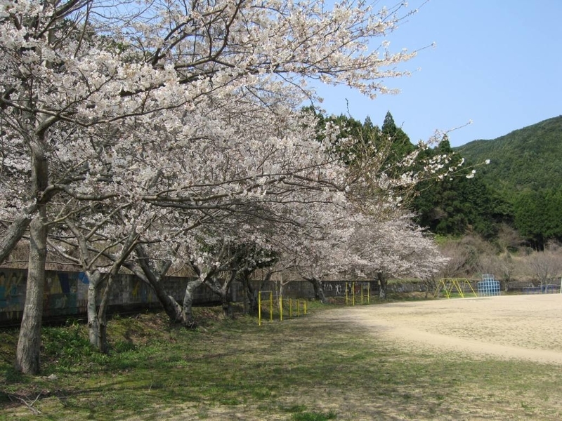 イメージ 7