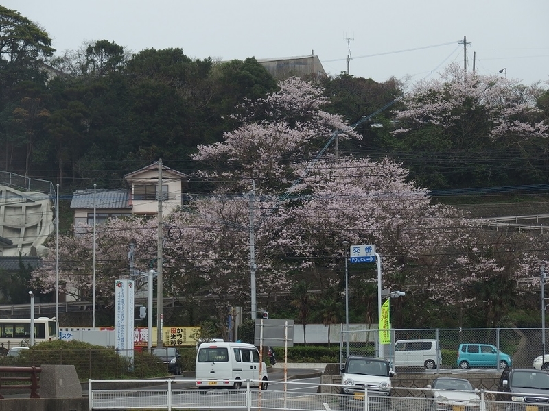イメージ 4