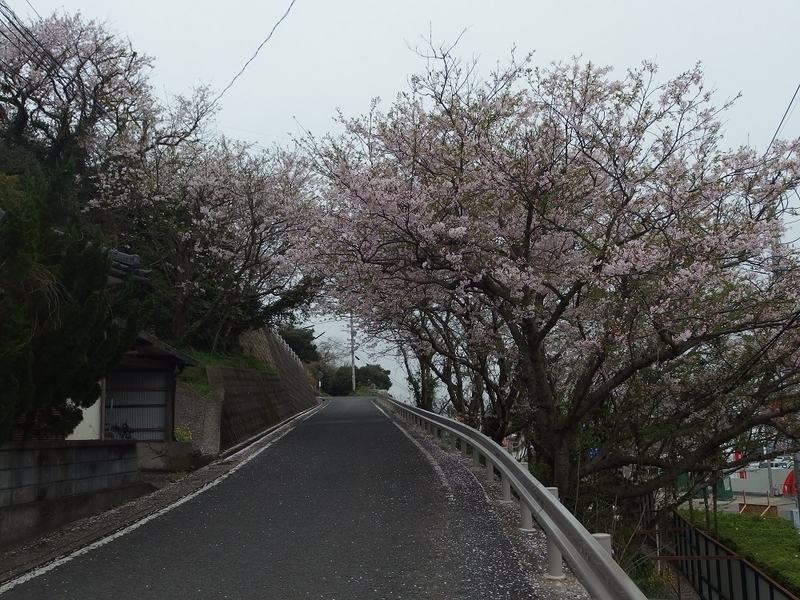 イメージ 5
