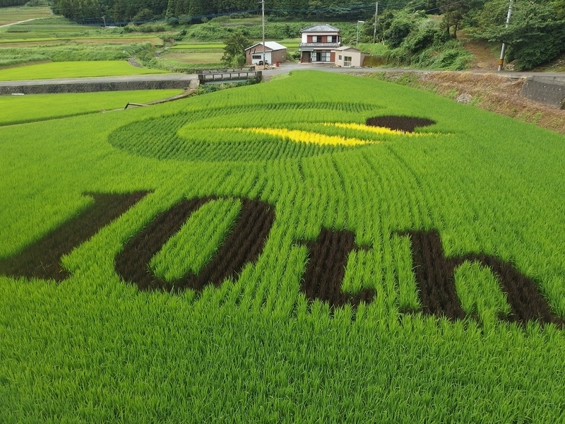イメージ 6
