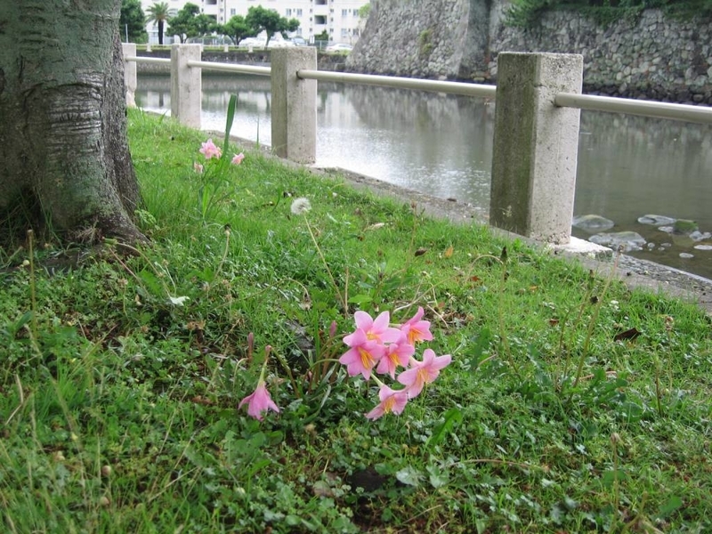 イメージ 6