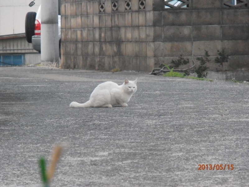 イメージ 9