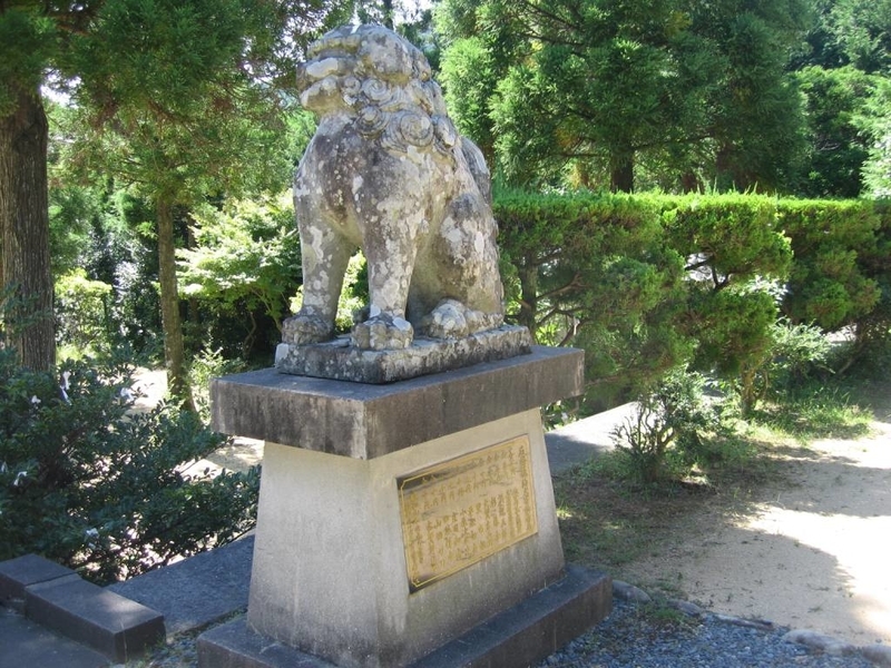 イメージ 6