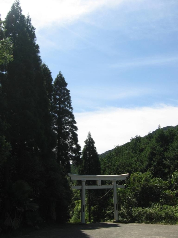 イメージ 8