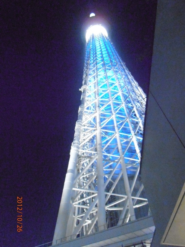 イメージ 16