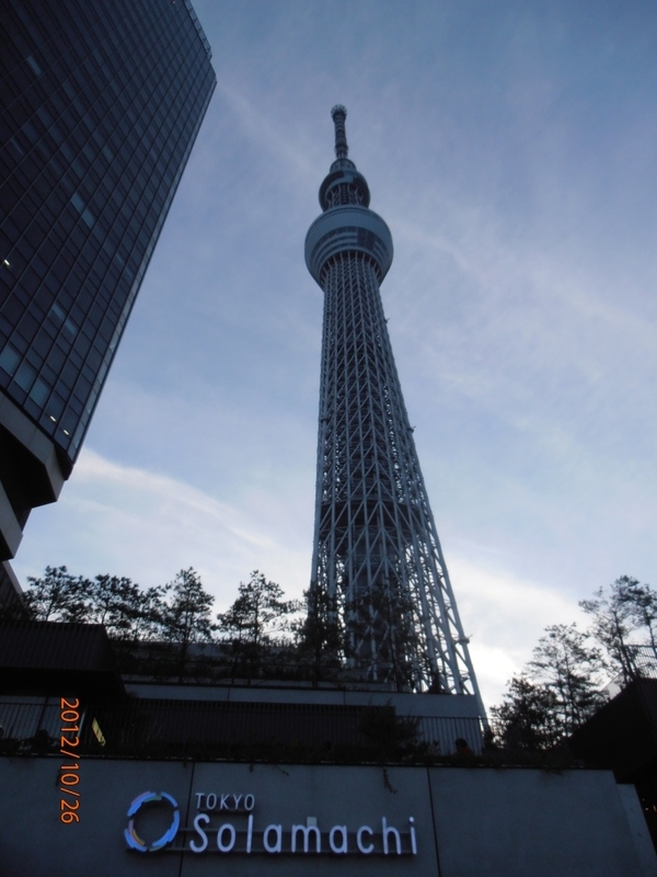 イメージ 7