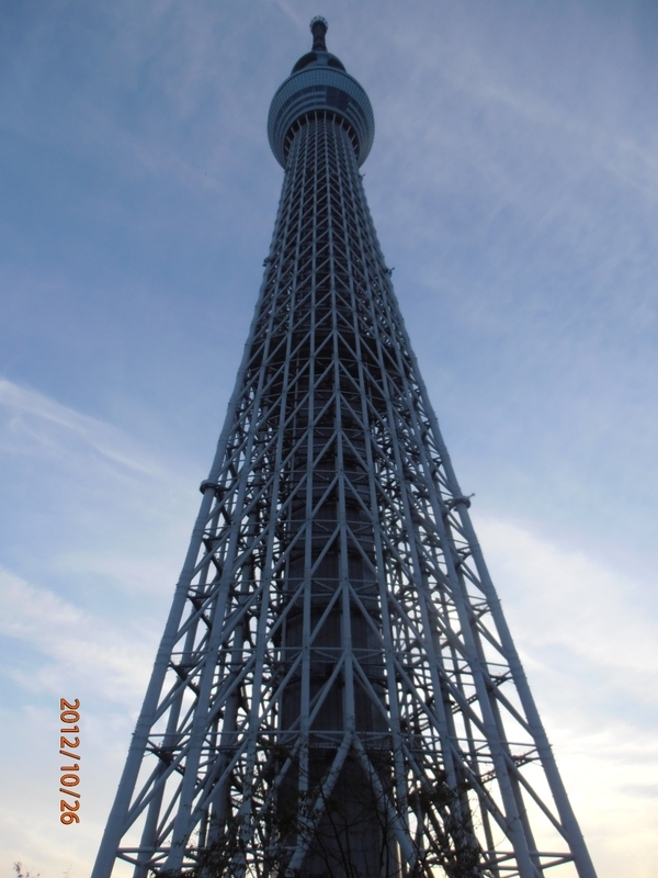イメージ 8