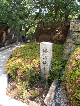 イメージ 12