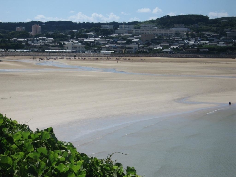 イメージ 4