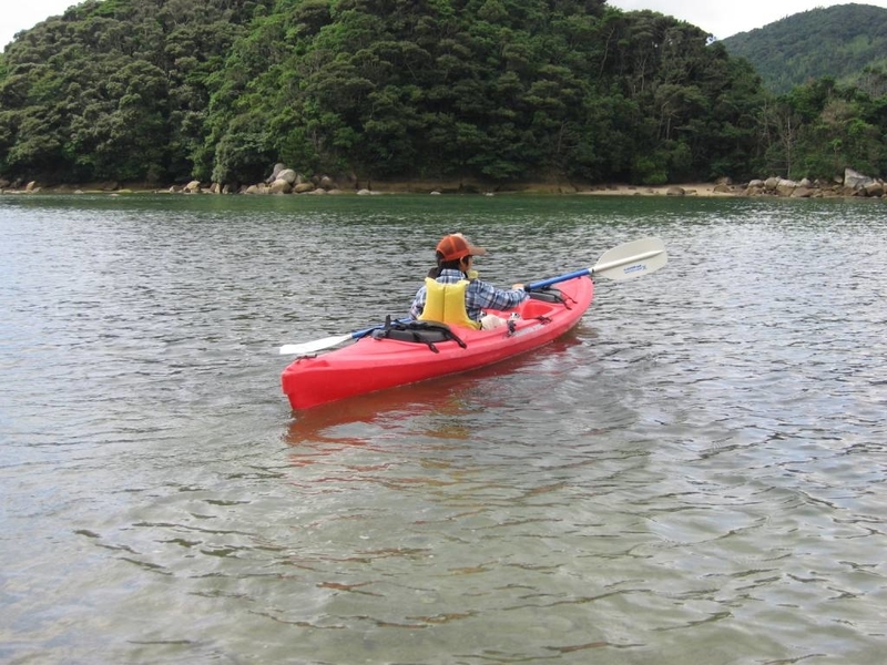 イメージ 7